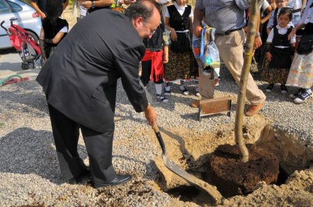 Fira de l'Ametlla de Vilagrassa Fira de l'Ametlla de Vilagrassa