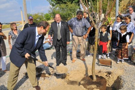 Fira de l'Ametlla de Vilagrassa Fira de l'Ametlla de Vilagrassa