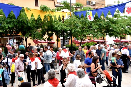 Fira de la Garlanda Vallbona d'Anoia