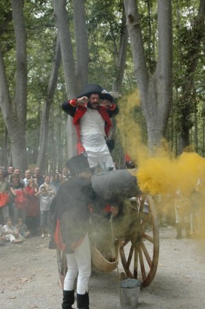 Els Setges de Girona