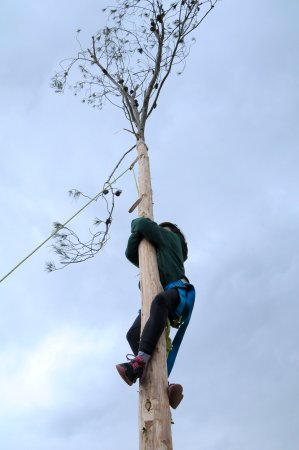 Festa dels Estelladors i els oficis del bosc