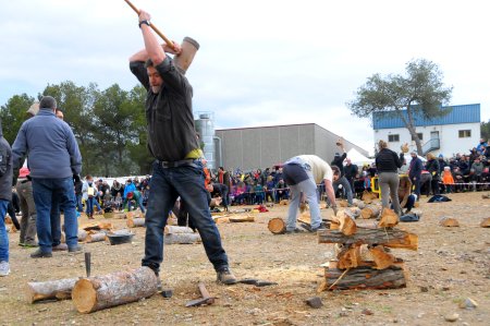 Festa dels Estelladors i els oficis del bosc