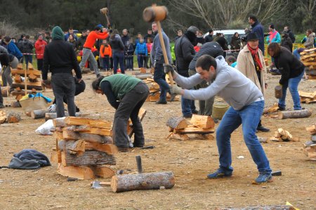 Festa dels Estelladors i els oficis del bosc