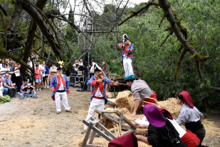 Festa del Timbaler del Bruc