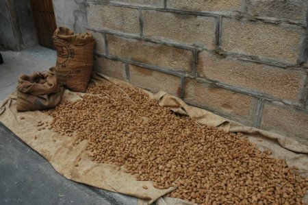 Fira de l'Ametlla de Vilagrassa Fira de l'Ametlla de Vilagrassa