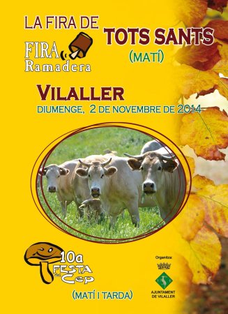Programa de La fira de Tots Sants a Vilaller 2014 Programa de La fira de Tots Sants a Vilaller 2014